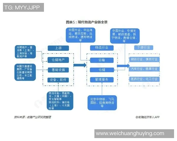 上海排球队转型之路的挑战与机遇全景分析