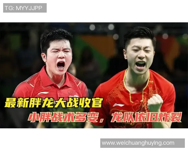 广州与武汉排球队对决赛后分析速度对比与战术调整探讨